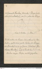 Seite 8, Tagebuch "Paläolithstation | Lang-Mannersdorf | Parzelle 1325" (NHMW-PRAE-BBB-16)